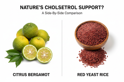 Citrus Bergamot vs Red Yeast Rice for Cholesterol Support - Which Supplement Is Better for You?